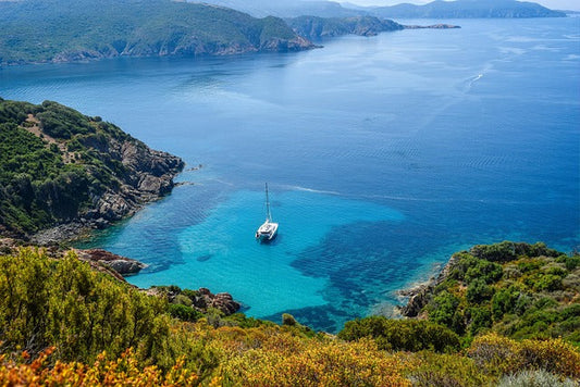 🎉 Mallorca 2025: Neue Regeln an der Playa de Palma – Das solltest du wissen!